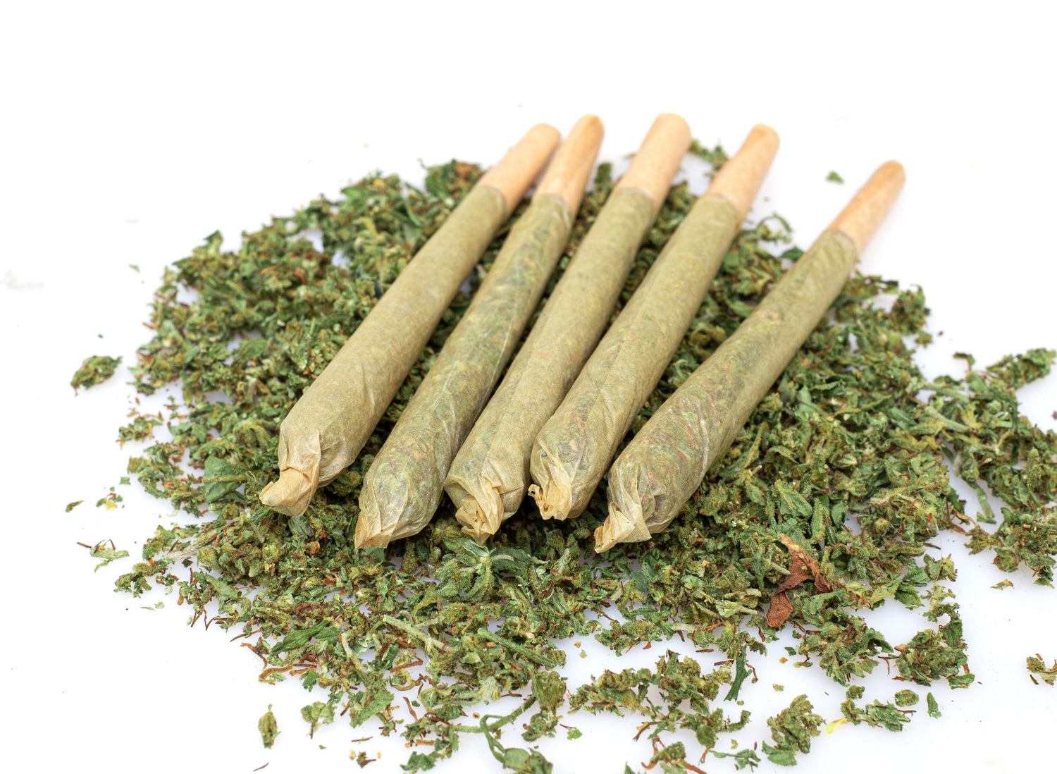Brown sticks and dark stones on left, brown tubes and small bag of seeds on right, with "RAW" text in between on white background